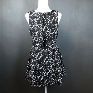 Want and Need floral dress black and white size small popover style